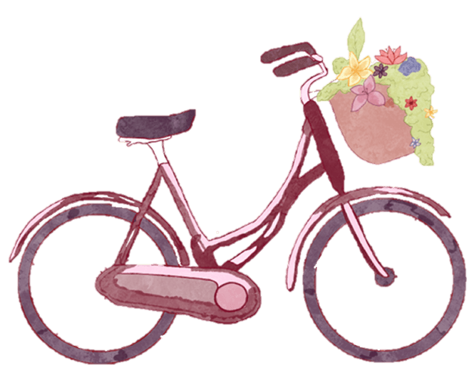 Seguimiento del pedido y entrega final